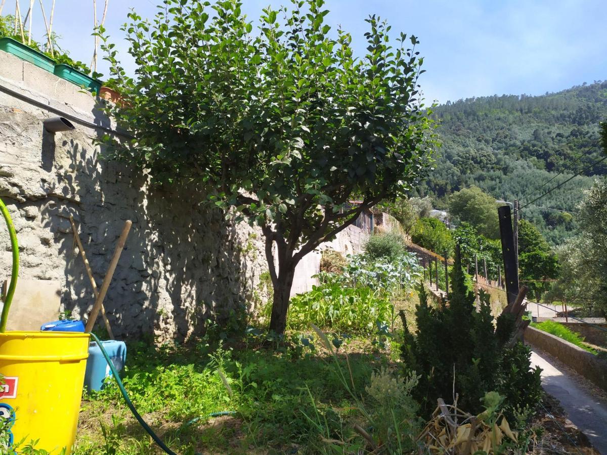 Casa da Rota dos Moinhos Lousã Exterior foto